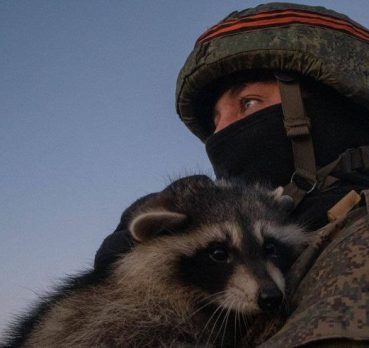 Георгий, 23 лет, Васильевский остров,  Россия 🇷🇺