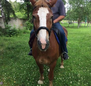 Юлий, 62 лет, Ногинск,  Россия 🇷🇺