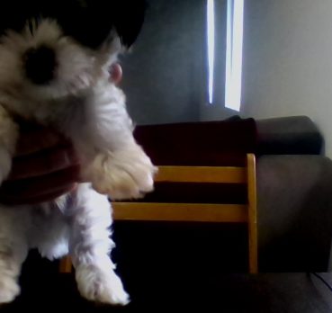 Аня, 28 лет, Санкт-Петербург,  Россия 🇷🇺