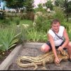 Дмитрий, 40 лет, Бисексуал(ка), Наро-Фоминск Московской области, Московская область,  Россия 🇷🇺