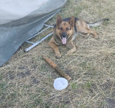 Алексей, 39 лет, Крымск,  Россия 🇷🇺