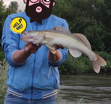 Телепузик, 40 лет, Белебей,  Россия 🇷🇺