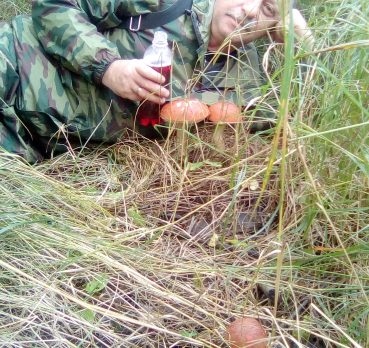 Николай, 58 лет, Колпино,  Россия 🇷🇺