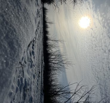 Кирилл, 24 лет, Набережные Челны,  Россия 🇷🇺