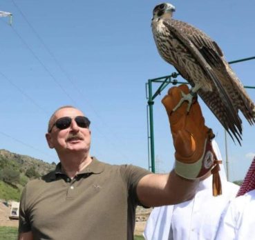 Руфат, 39 лет, Баку,  Азербайджан 🇦🇿