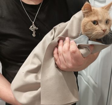 Кирилл, 25 лет, Белгород,  Россия 🇷🇺