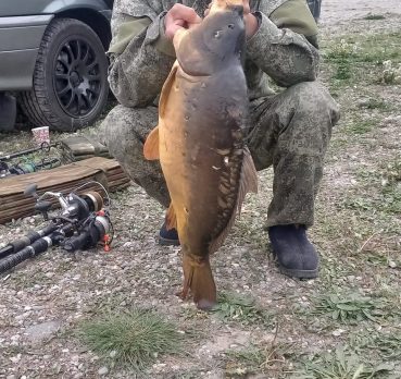 Миша, 66 лет, Нарткала,  Россия 🇷🇺