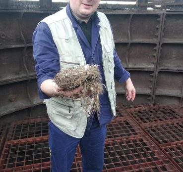 Денис, 38 лет, Санкт-Петербург,  Россия 🇷🇺