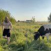 vexel, 24 лет, Гетеро, Санкт-Петербург, Санкт-Петербург,  Россия 🇷🇺