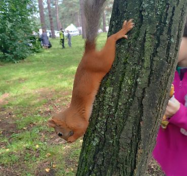 Максим, 38 лет, Новокузнецк,  Россия 🇷🇺