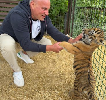 Андрей, 39 лет, Колпино,  Россия 🇷🇺