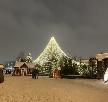 Нат, 35 лет, Москва, Москва,  Россия 🇷🇺