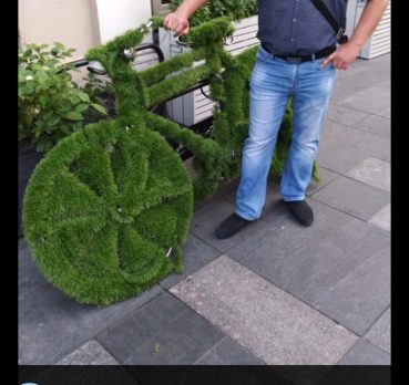 Александр, 39 лет, Красное Село,  Россия 🇷🇺