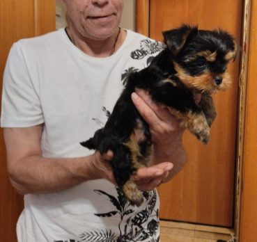 Евгений, 56 лет, Свиблово, Москва,  Россия 🇷🇺