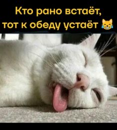 Иван, 46 лет, Гетеро, Женщина, Санкт-Петербург, Санкт-Петербург,  Россия 🇷🇺