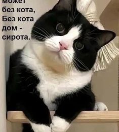 Энтони, 56 лет, Гетеро, Мужчина, Донецк, Ростов,  Россия 🇷🇺