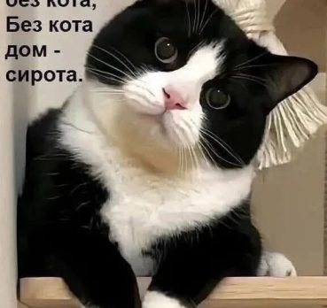 Энтони, 56 лет, Донецк, Ростов,  Россия 🇷🇺